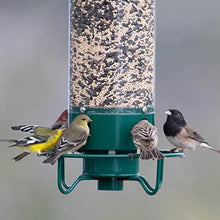 Load image into Gallery viewer, 2024 Summer New Arrival š„100% Squirrel Resistant Bird Feeder