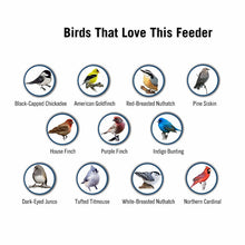 Load image into Gallery viewer, 2024 Summer New Arrival 🔥100% Squirrel Resistant Bird Feeder
