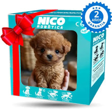 Load image into Gallery viewer, Graddi™ Zoomer PupPal
